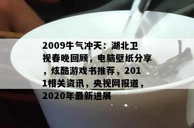 2009牛气冲天：湖北卫视春晚回顾，电脑壁纸分享，炫酷游戏书推荐，2011相关资讯，央视网报道，2020年最新进展