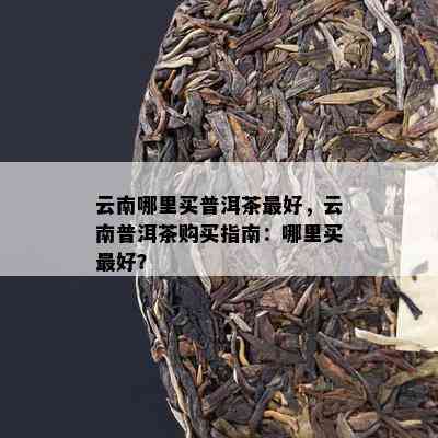 云南哪里买普洱茶更好，云南普洱茶购买指南：哪里买更好？