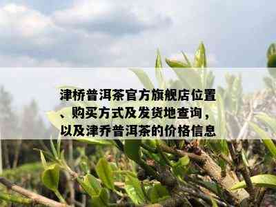 津桥普洱茶官方旗舰店位置、购买方式及发货地查询，以及津乔普洱茶的价格信息