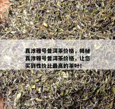 真淳雅号普洱茶价格，揭秘真淳雅号普洱茶价格，让您买到性价比更高的茶叶！