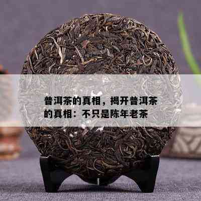 普洱茶的真相，揭开普洱茶的真相：不只是陈年老茶