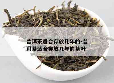 普洱茶适合存放几年的-普洱茶适合存放几年的茶叶