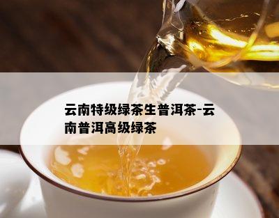 云南特级绿茶生普洱茶-云南普洱高级绿茶