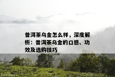 普洱茶乌金怎么样，深度解析：普洱茶乌金的口感、功效及选购技巧