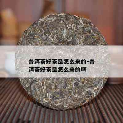 普洱茶好茶是怎么来的-普洱茶好茶是怎么来的啊