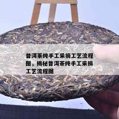 普洱茶纯手工采摘工艺流程图，揭秘普洱茶纯手工采摘工艺流程图