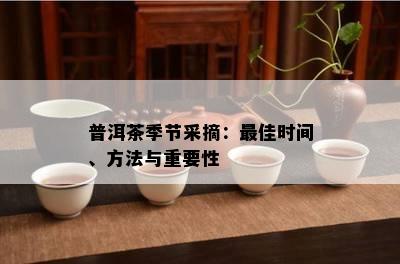 普洱茶季节采摘：更佳时间、方法与重要性