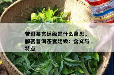 普洱茶宫廷级是什么意思，解密普洱茶宫廷级：含义与特点