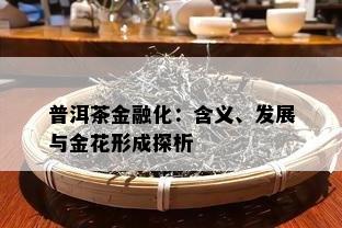 普洱茶金融化：含义、发展与金花形成探析