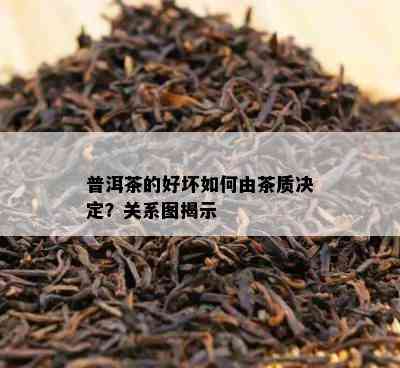 普洱茶的好坏如何由茶质决定？关系图揭示