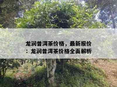 龙润普洱茶价格，最新报价：龙润普洱茶价格全面解析