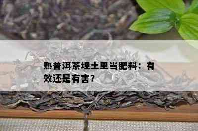 熟普洱茶埋土里当肥料：有效还是有害？