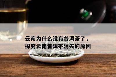 云南为什么没有普洱茶了，探究云南普洱茶消失的原因