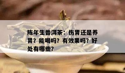 陈年生普洱茶：伤胃还是养胃？能喝吗？有效果吗？好处有哪些？