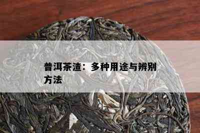 普洱茶渣：多种用途与辨别方法