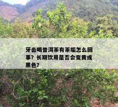 牙齿喝普洱茶有茶垢怎么回事？长期饮用是否会变黄或黑色？