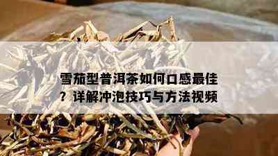 雪茄型普洱茶如何口感更佳？详解冲泡技巧与方法视频