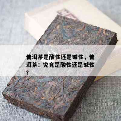 普洱茶是酸性还是碱性，普洱茶：究竟是酸性还是碱性？