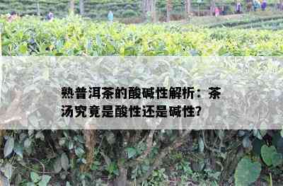 熟普洱茶的酸碱性解析：茶汤究竟是酸性还是碱性？