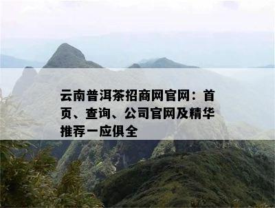 云南普洱茶招商网官网：首页、查询、公司官网及精华推荐一应俱全