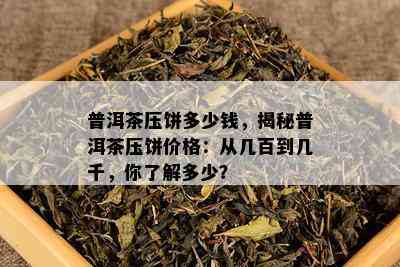 普洱茶压饼多少钱，揭秘普洱茶压饼价格：从几百到几千，你了解多少？