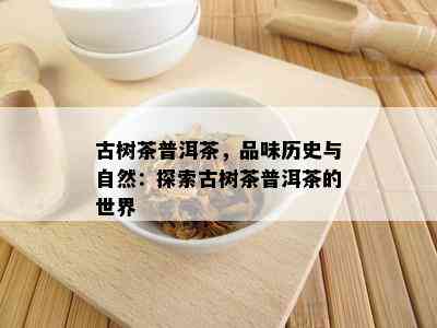 古树茶普洱茶，品味历史与自然：探索古树茶普洱茶的世界