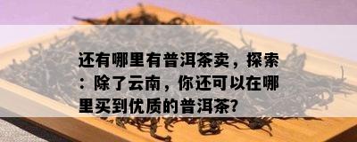 还有哪里有普洱茶卖，探索：除了云南，你还可以在哪里买到优质的普洱茶？