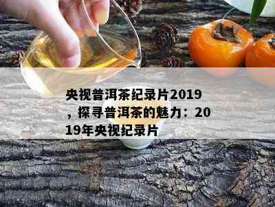 央视普洱茶纪录片2019，探寻普洱茶的魅力：2019年央视纪录片