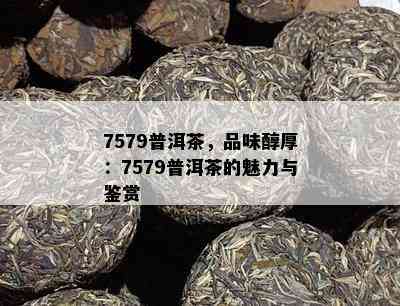 7579普洱茶，品味醇厚：7579普洱茶的魅力与鉴赏