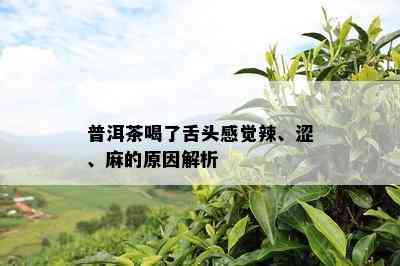 普洱茶喝了舌头感觉辣、涩、麻的原因解析