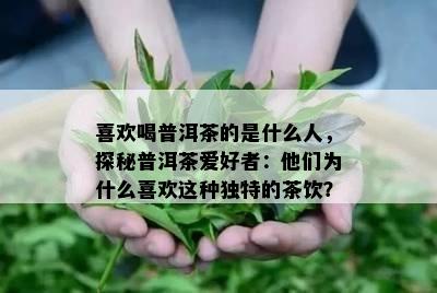 喜欢喝普洱茶的是什么人，探秘普洱茶爱好者：他们为什么喜欢这种独特的茶饮？