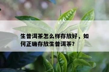 生普洱茶怎么样存放好，如何正确存放生普洱茶？