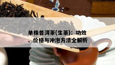 单株普洱茶(生茶)：功效、价格与冲泡方法全解析