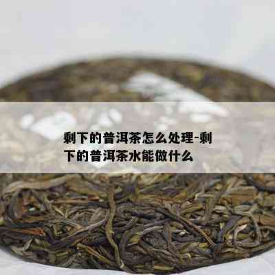 剩下的普洱茶怎么处理-剩下的普洱茶水能做什么