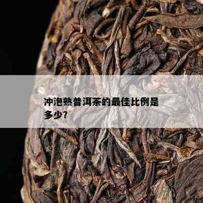 冲泡熟普洱茶的更佳比例是多少？