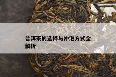 普洱茶的选择与冲泡方式全解析