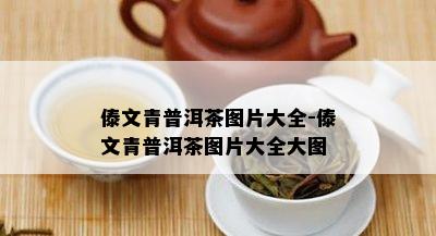 傣文青普洱茶图片大全-傣文青普洱茶图片大全大图