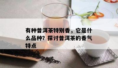 有种普洱茶特别香，它是什么品种？探讨普洱茶的香气特点