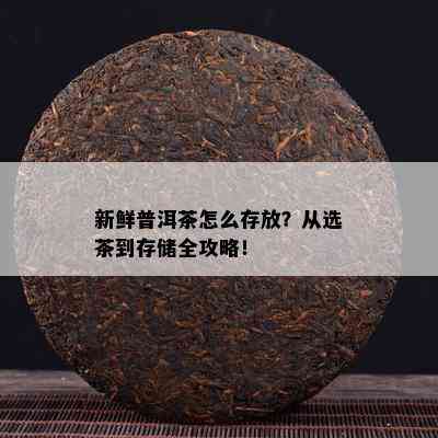 新鲜普洱茶怎么存放？从选茶到存储全攻略！