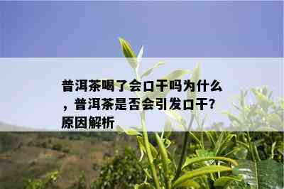 普洱茶喝了会口干吗为什么，普洱茶是否会引发口干？原因解析