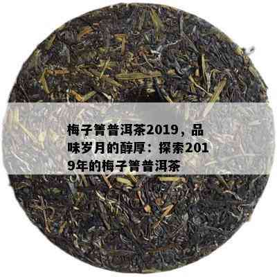 梅子箐普洱茶2019，品味岁月的醇厚：探索2019年的梅子箐普洱茶