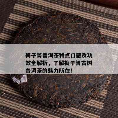 梅子箐普洱茶特点口感及功效全解析，了解梅子箐古树普洱茶的魅力所在！