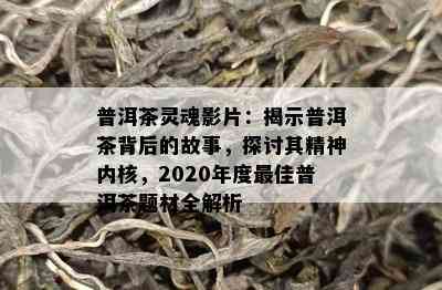 普洱茶灵魂影片：揭示普洱茶背后的故事，探讨其精神内核，2020年度更佳普洱茶题材全解析