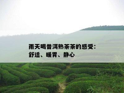 雨天喝普洱熟茶茶的感受：舒适、暖胃、静心