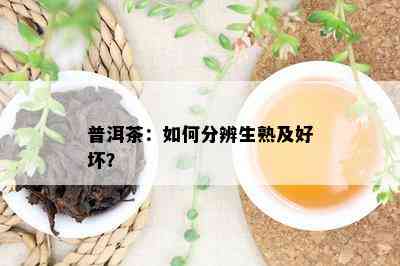 普洱茶：如何分辨生熟及好坏？