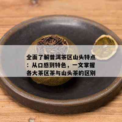 全面了解普洱茶区山头特点：从口感到特色，一文掌握各大茶区茶与山头茶的区别