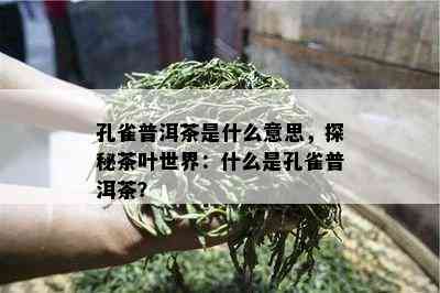 孔雀普洱茶是什么意思，探秘茶叶世界：什么是孔雀普洱茶？