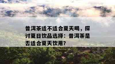 普洱茶适不适合夏天喝，探讨夏日饮品选择：普洱茶是否适合夏天饮用？