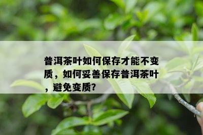 普洱茶叶如何保存才能不变质，如何妥善保存普洱茶叶，避免变质？