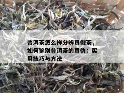 普洱茶怎么样分辨真假茶，如何鉴别普洱茶的真伪：实用技巧与方法